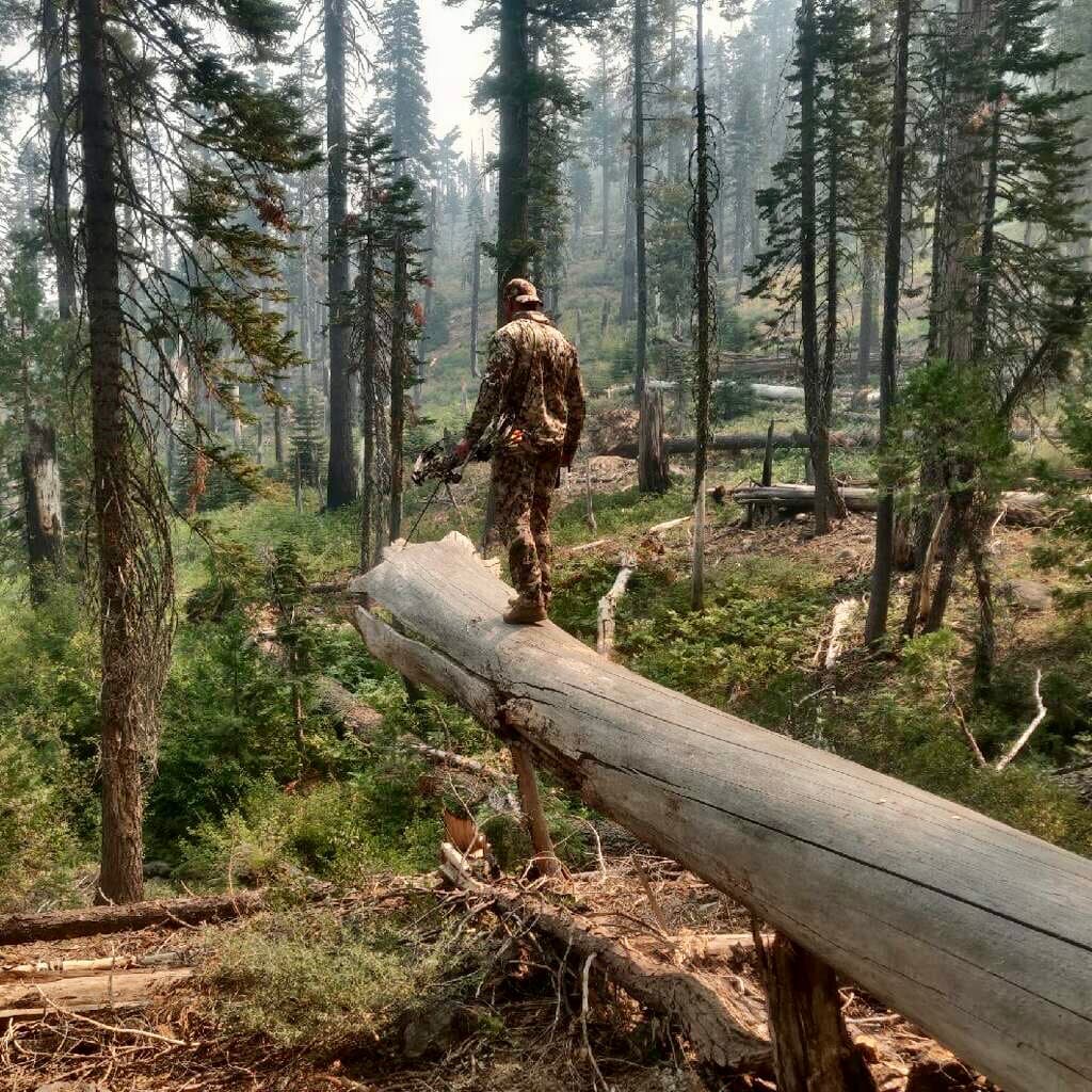 Scouting the treeline, bow in hand